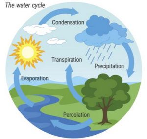 Hydrologic Cycle